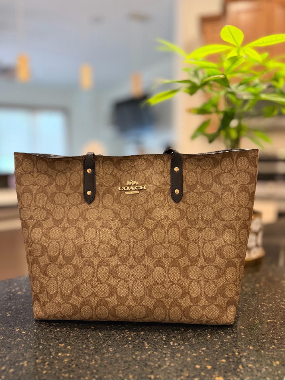 COACH Brown Signature Monogram Tote with Black Trim NWOT